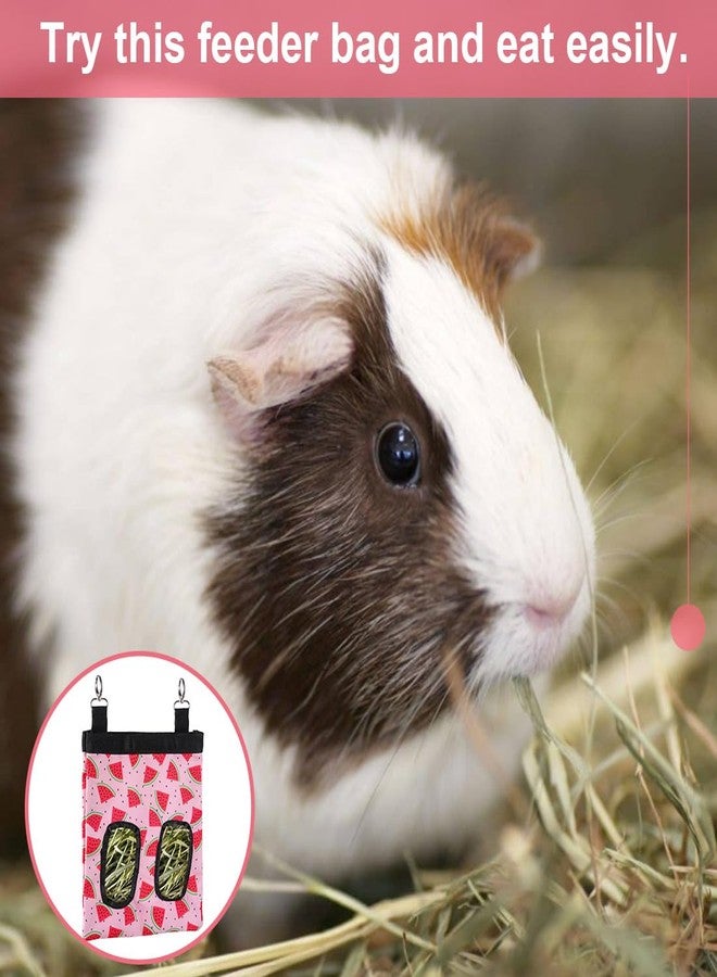 DZWLKJ Guinea Pig Hay Feeder, 600D Polyester, Watermelon, Rabbit Hay Feeder Bag, Guinea Pig, Chinchilla, Hamsters, Small Pets, 1 Pack, Foldable, Lightweight - Image 4